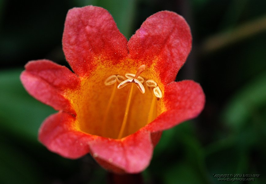 DSC_2267.jpg