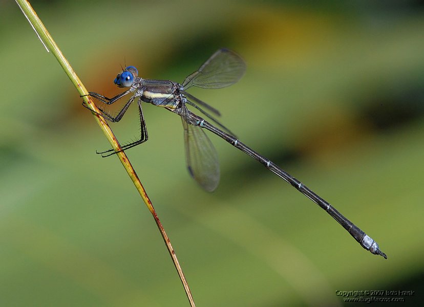 DSC_2968.jpg