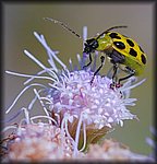 DSC_1704.jpg