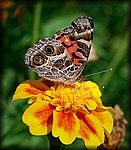 DSC_2139.jpg