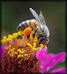 DSC_2478.jpg