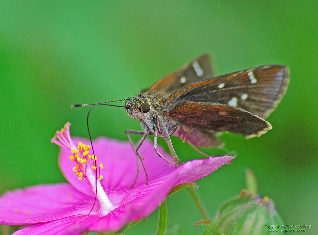 DSC_0394.jpg