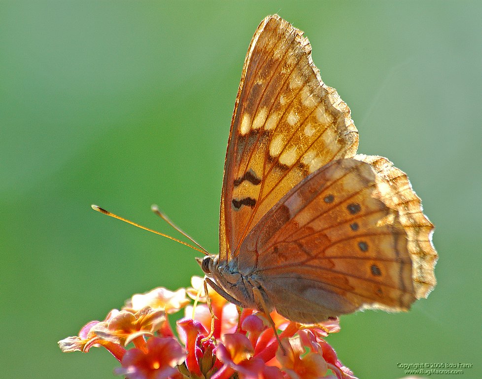 DSC_1321.jpg