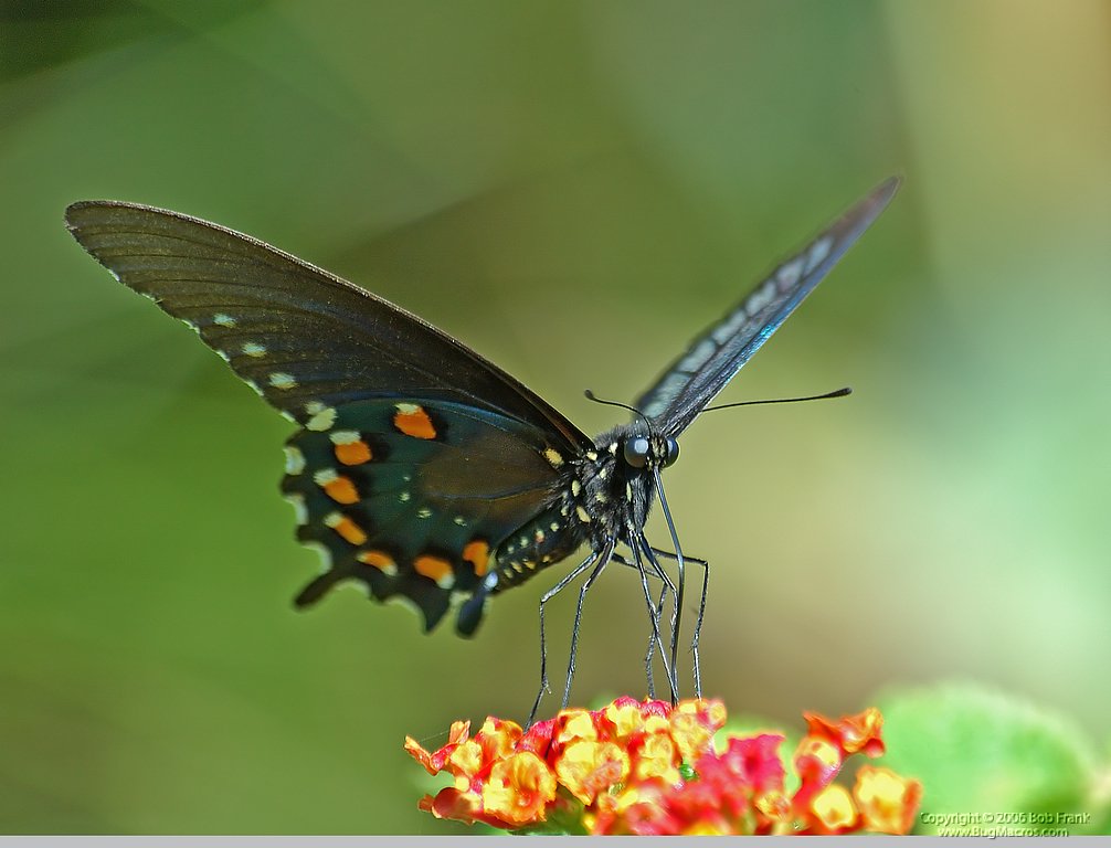 DSC_1349.jpg