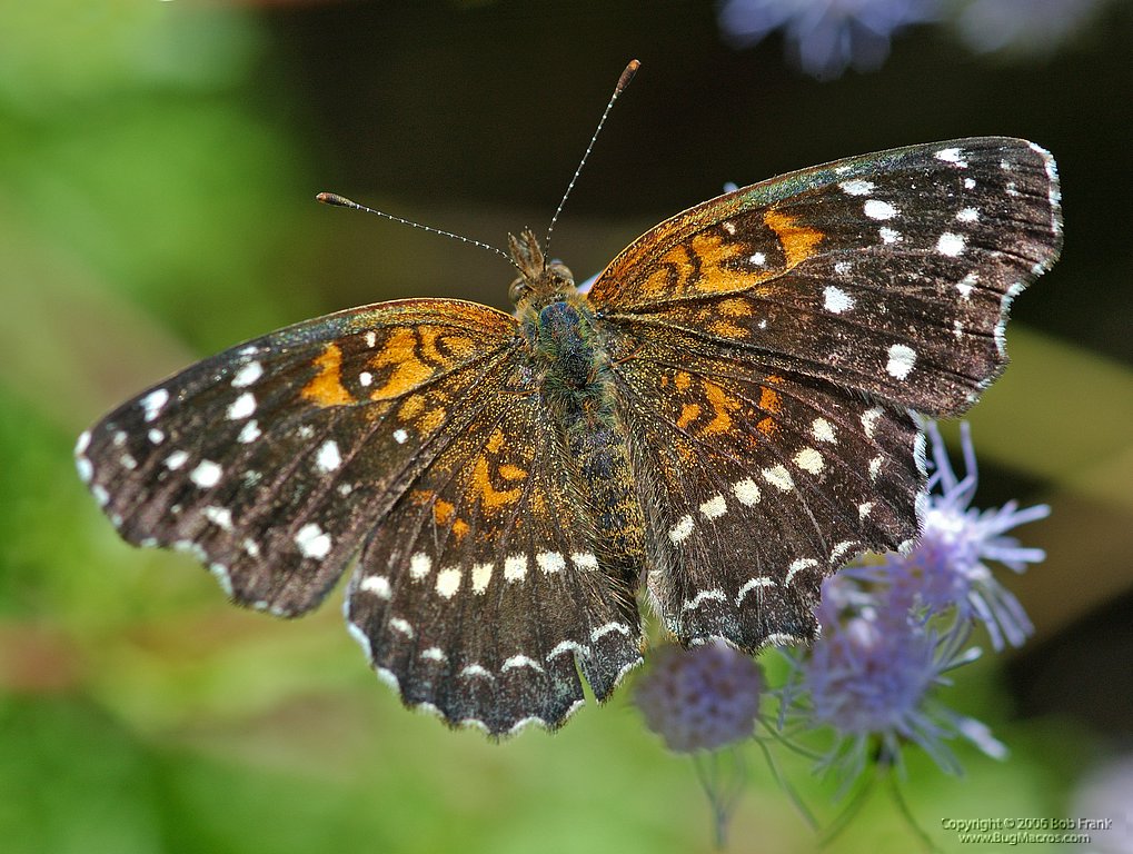 DSC_2182.jpg