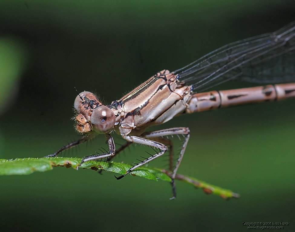DSC_0034.jpg