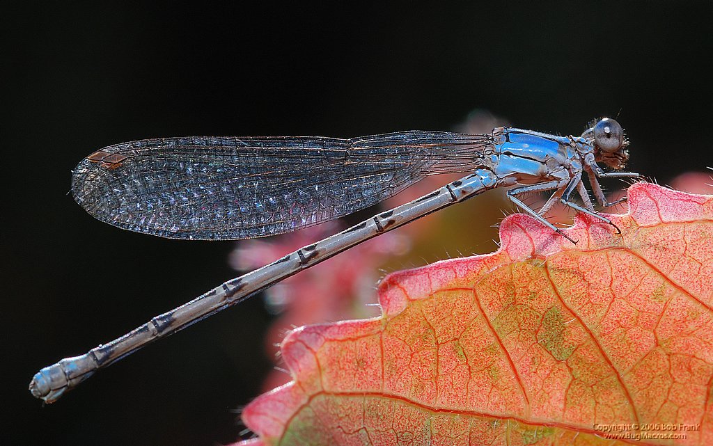 DSC_0065.jpg
