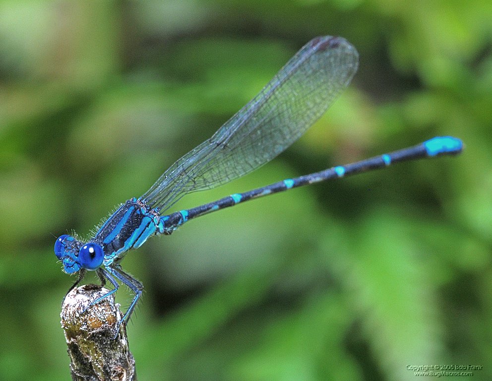 DSC_0143.jpg