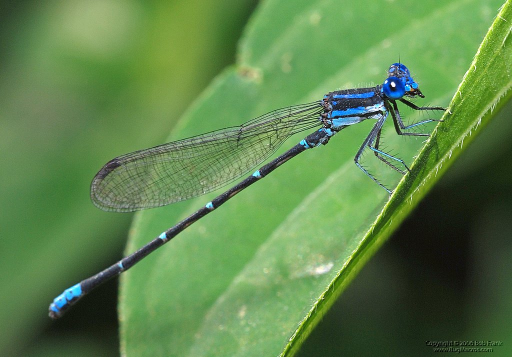 DSC_0150.jpg
