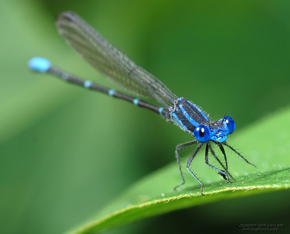 DSC_0153.jpg