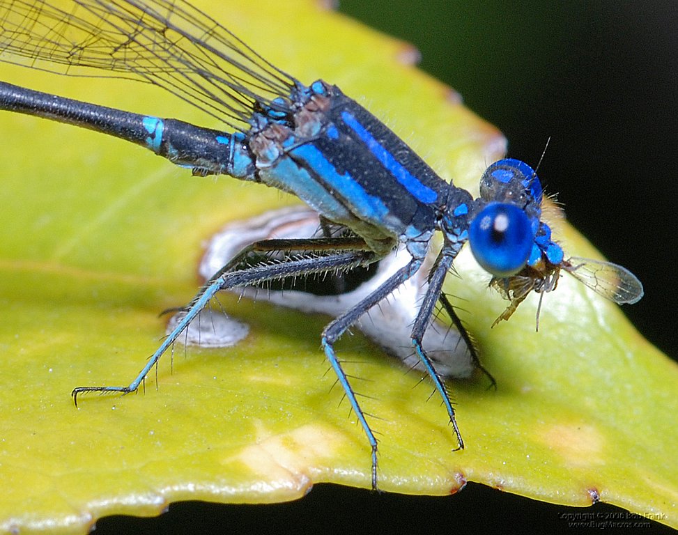 DSC_0158_cp.jpg