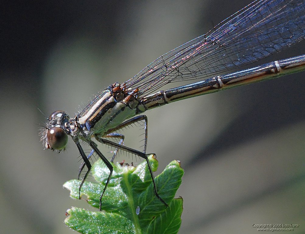 DSC_0399.jpg