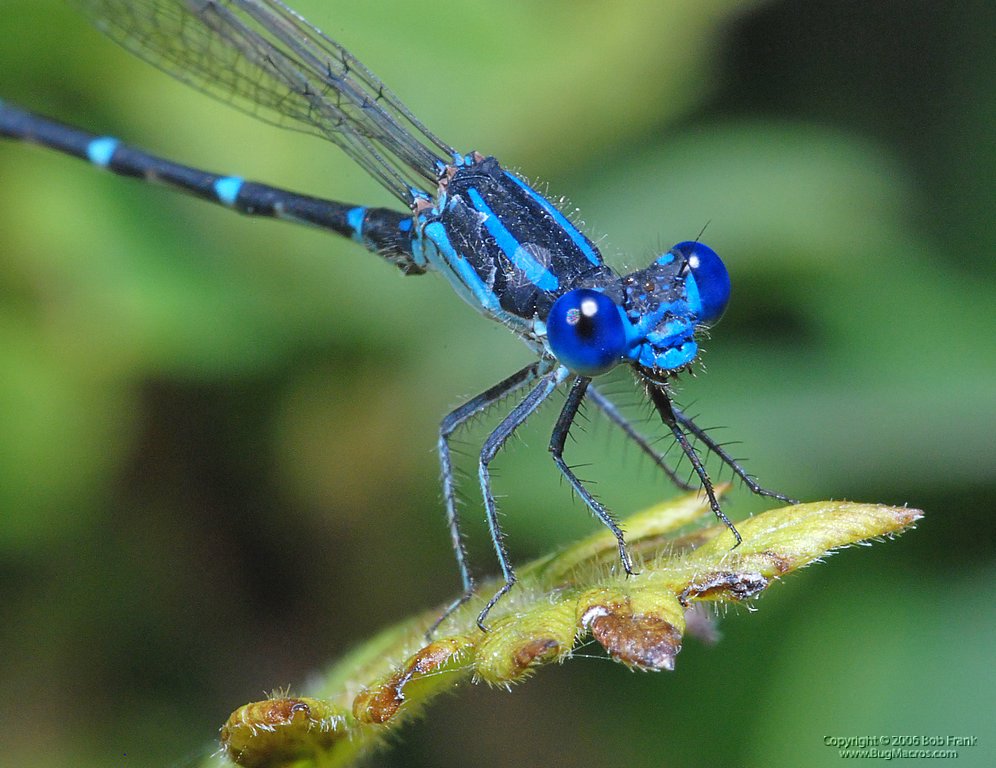 DSC_0567.jpg