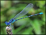 DSC_0143.jpg