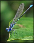 DSC_0146.jpg