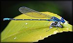 DSC_0158.jpg