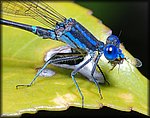 DSC_0158_cp.jpg