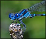 DSC_0165.jpg