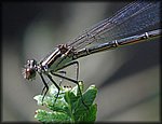 DSC_0399.jpg