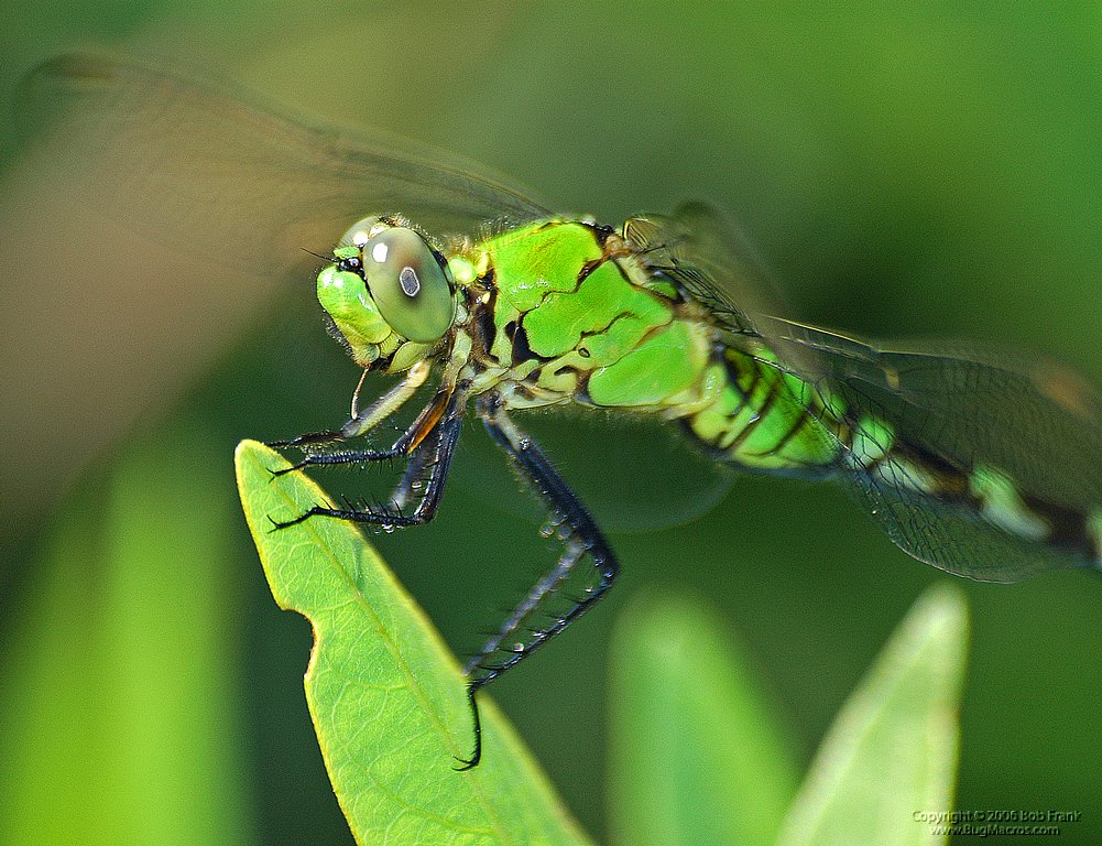 DSC_0593.jpg