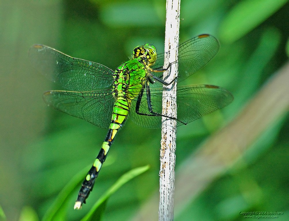 DSC_0638.jpg