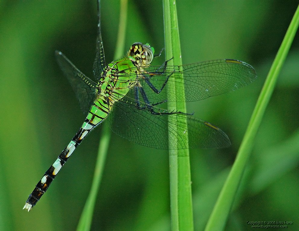 DSC_0857.jpg