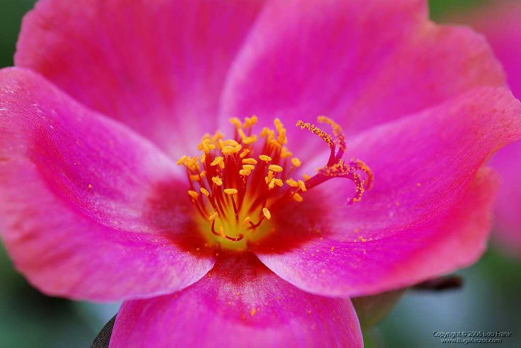 DSC_0040.jpg