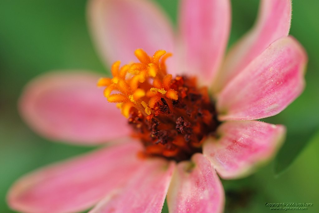 DSC_0068.jpg