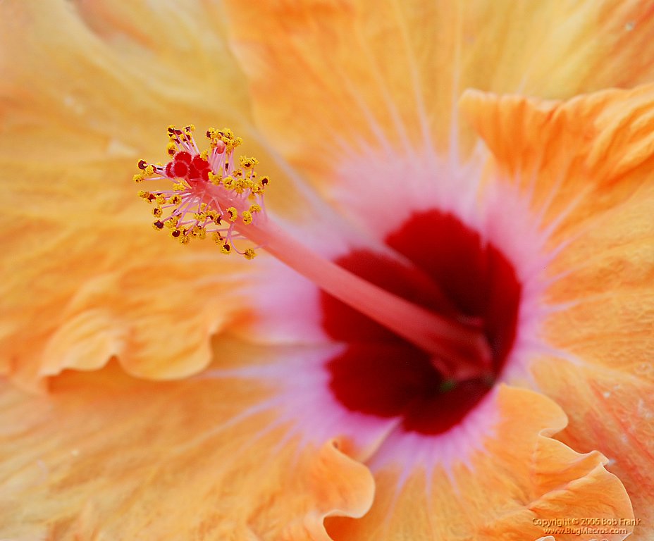 DSC_0076.jpg