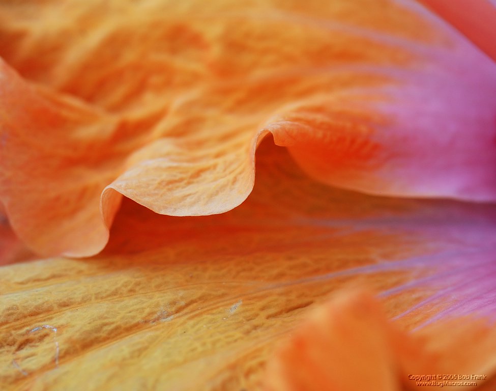 DSC_0077.jpg