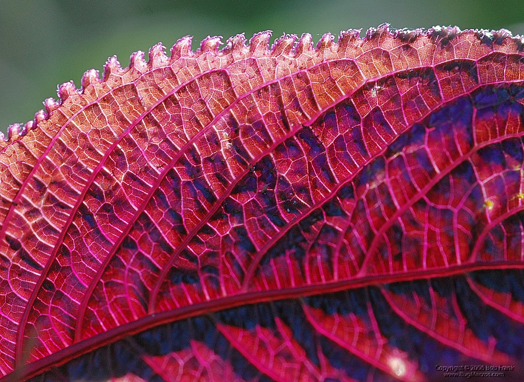 DSC_0269.jpg