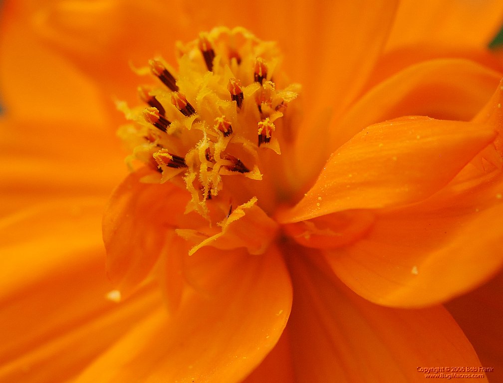 DSC_0673.jpg