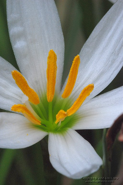 DSC_0750.jpg