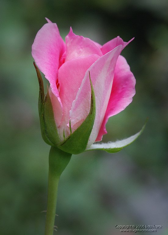 DSC_0760.jpg