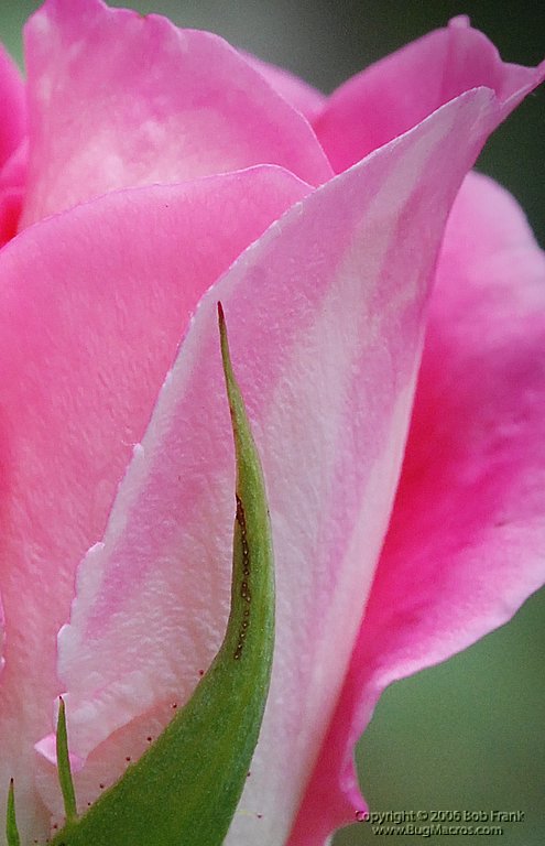DSC_0760_cp.jpg