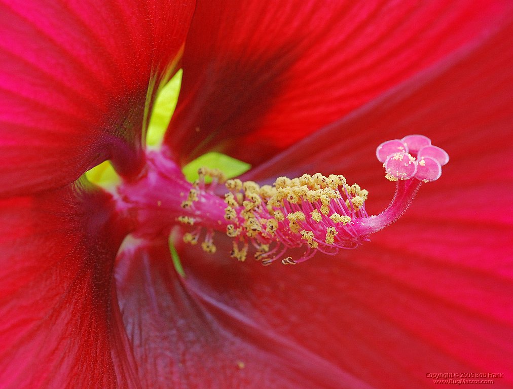 DSC_0774.jpg