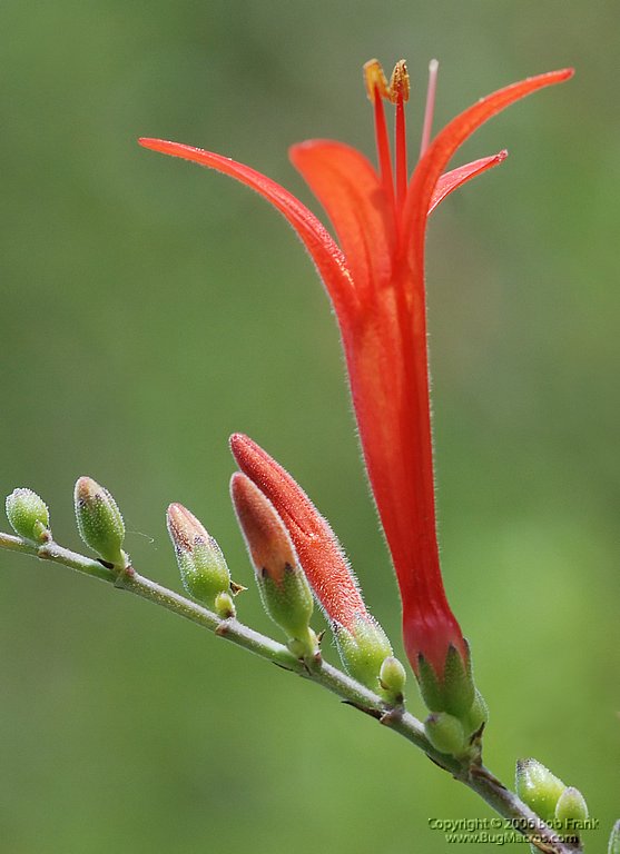 DSC_0845.jpg
