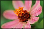DSC_0068.jpg