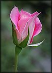 DSC_0760.jpg