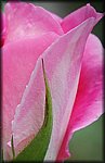 DSC_0760_cp.jpg