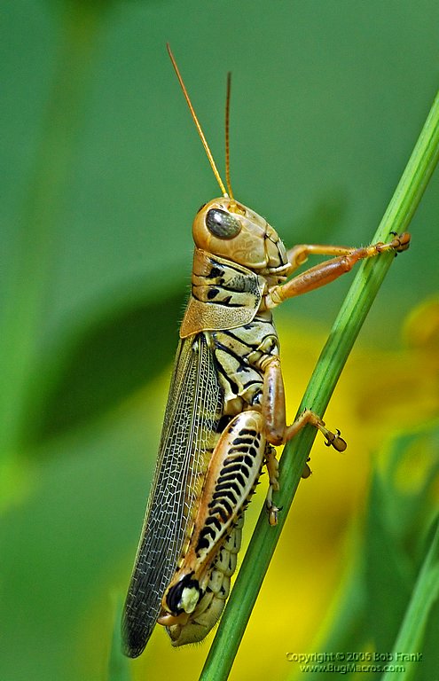 DSC_0651_rev.jpg
