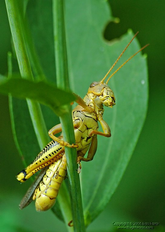 DSC_0660_rev.jpg
