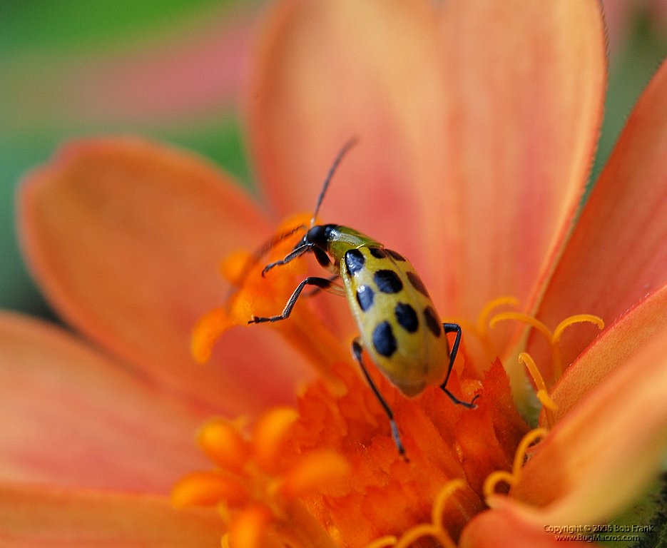 DSC_0063.jpg