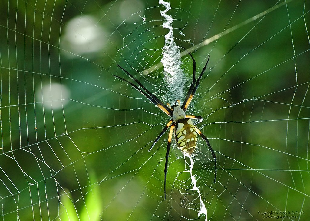 DSC_0425.jpg