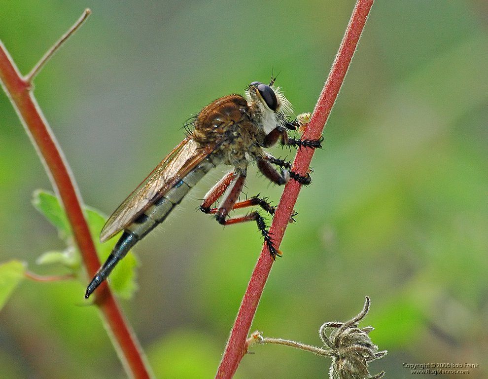 DSC_0726.jpg