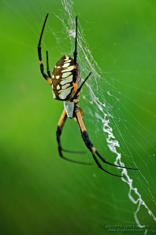DSC_0827.jpg
