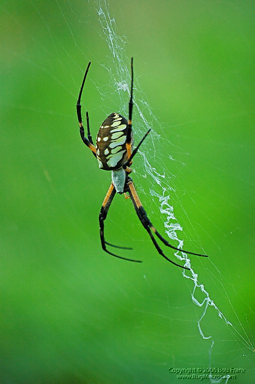 DSC_0829.jpg