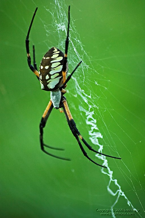DSC_0834.jpg