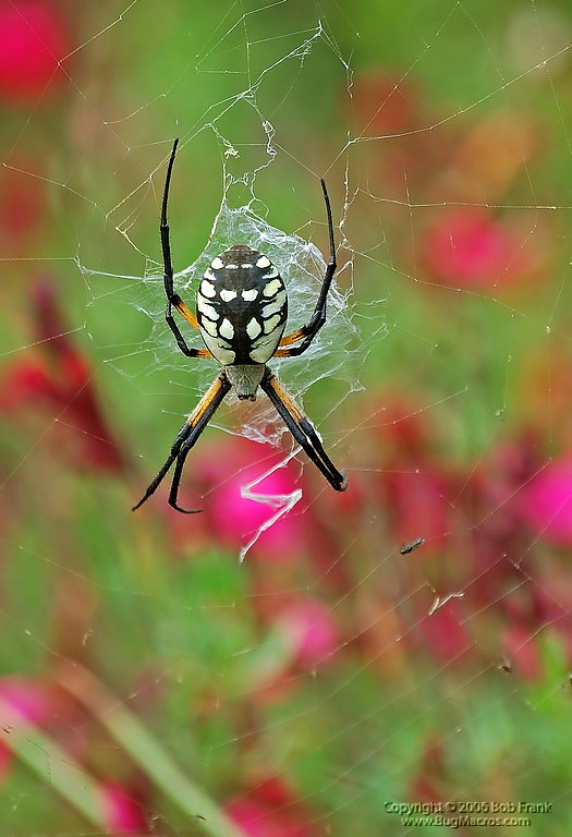DSC_1810.jpg