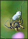 DSC_0460_rev3.jpg